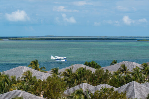 JJS07058_5519 A picturesque view of a seaplane on a serene body of water, surrounded by lush tropical palm trees and rooftops, with a distant horizon of calm water and blue skies