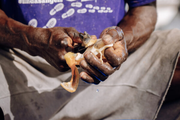 JJS07237_4769 Man cutting a shellfish