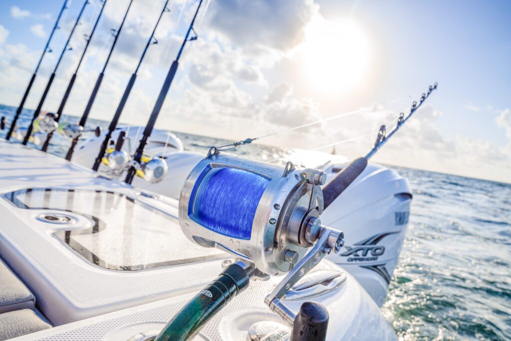 KELEKTIVE-_DSC2774 KELEKTIVE-_DSC2774