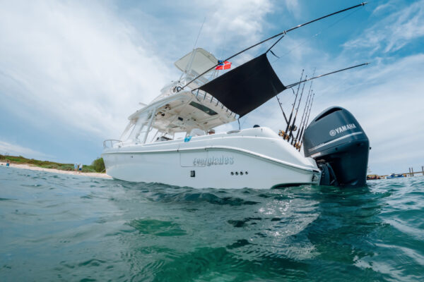 UW8123_3097 Everglades boat tied up next to a beach shore