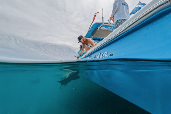 UW8125_4288 A split shot view of an angler on an Everglades boat reeling in a fish near the surface of clear blue water and another person standing nearby