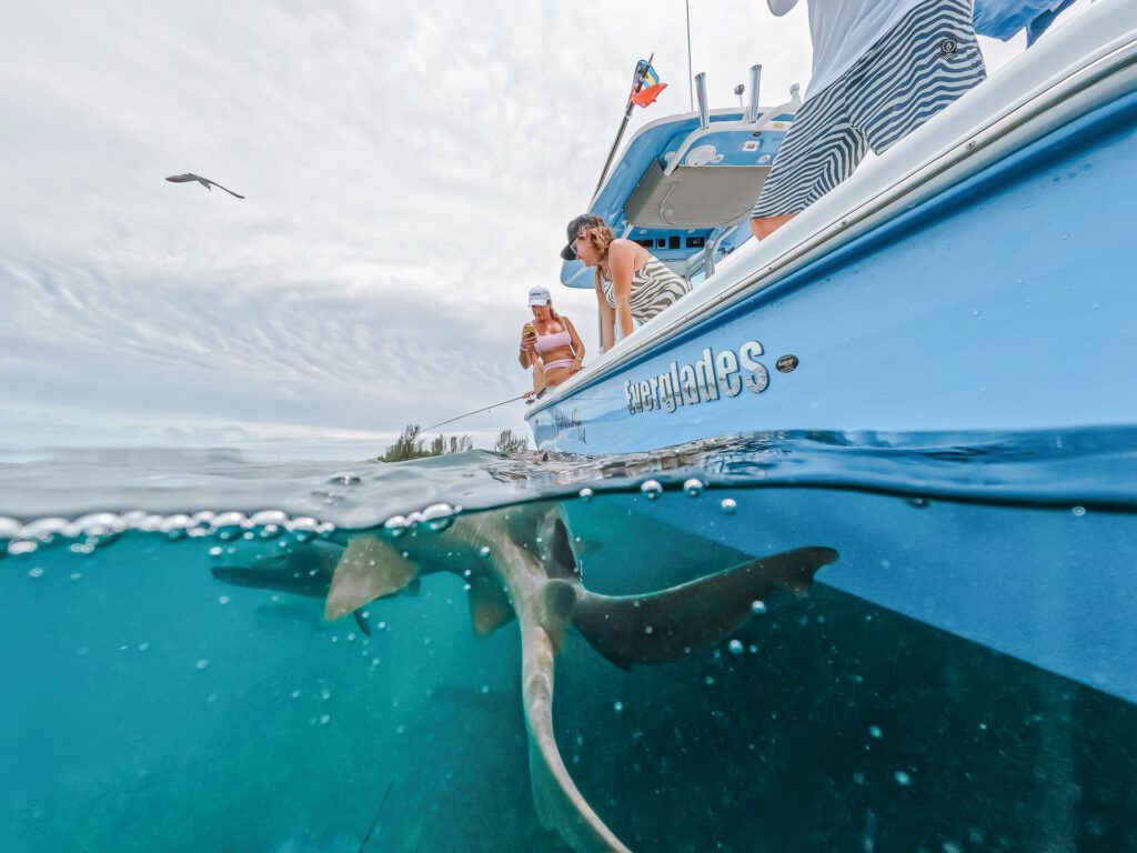 DCIM100GOPROGOPR8131.JPG Everglades fishing boat with people catching shark